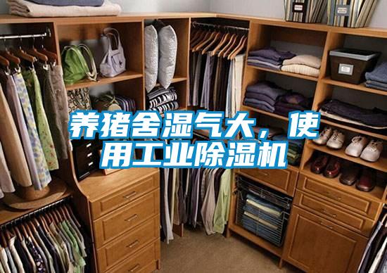 養豬舍濕氣大，使用工業除濕機