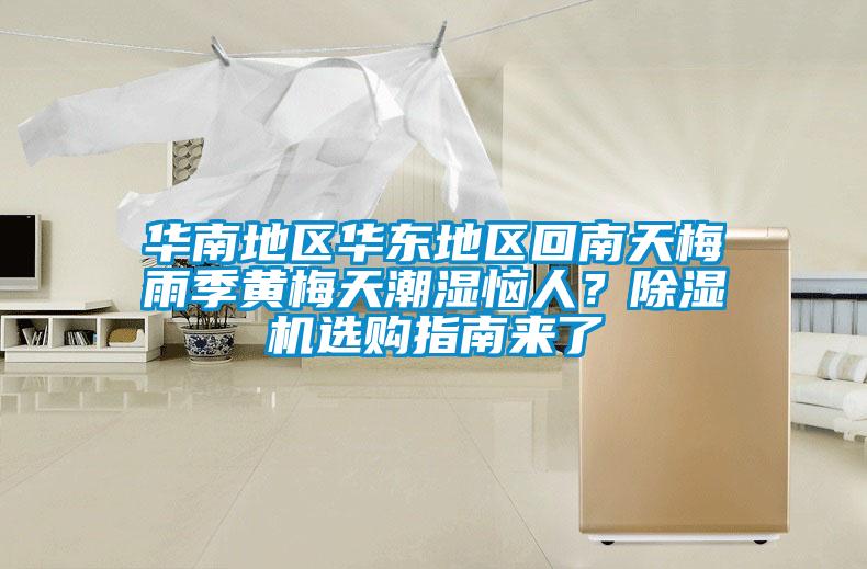 華南地區華東地區回南天梅雨季黃梅天潮濕惱人？除濕機選購指南來了