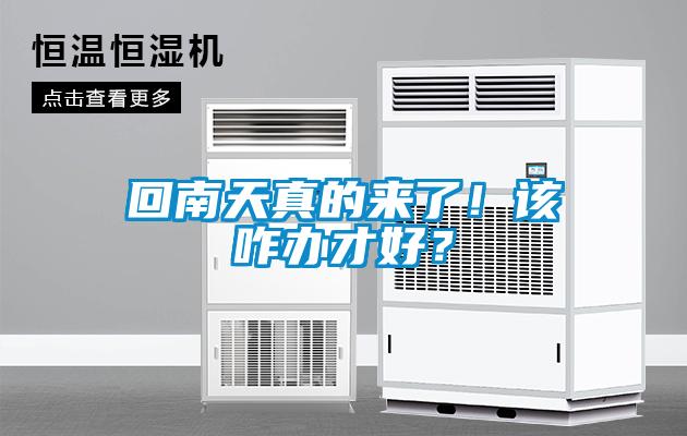回南天真的來了！該咋辦才好？