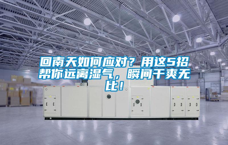 回南天如何應對？用這5招幫你遠離濕氣，瞬間干爽無比！