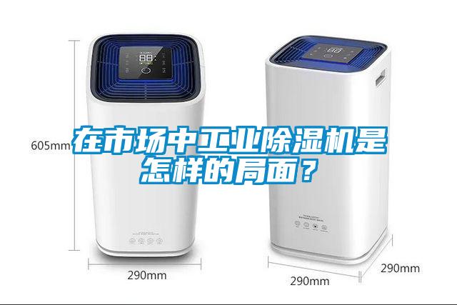 在市場中工業除濕機是怎樣的局面？