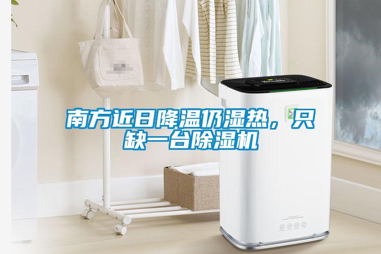 南方近日降溫仍濕熱，只缺一臺除濕機