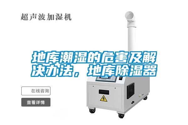 地庫潮濕的危害及解決辦法，地庫除濕器