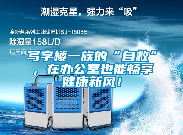 寫字樓一族的“自救”，在辦公室也能暢享健康新風！