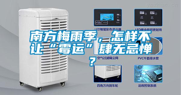 南方梅雨季，怎樣不讓“霉運”肆無忌憚？