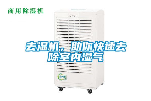 去濕機，助你快速去除室內濕氣