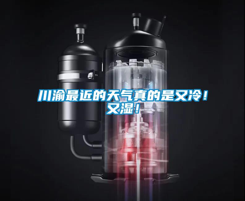 川渝最近的天氣真的是又冷！又濕！