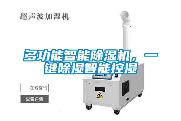多功能智能除濕機，一鍵除濕智能控濕
