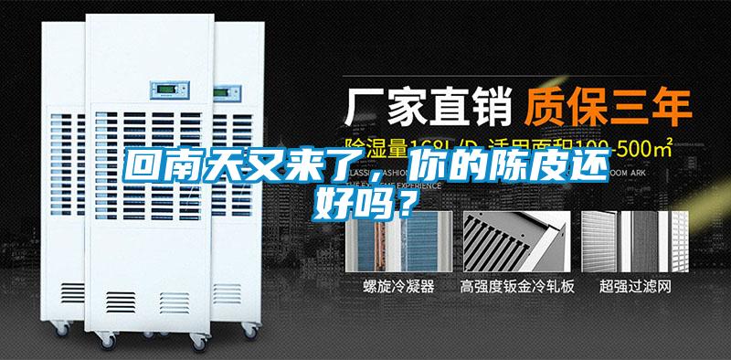 回南天又來了，你的陳皮還好嗎？