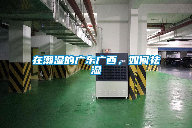 在潮濕的廣東廣西，如何祛濕