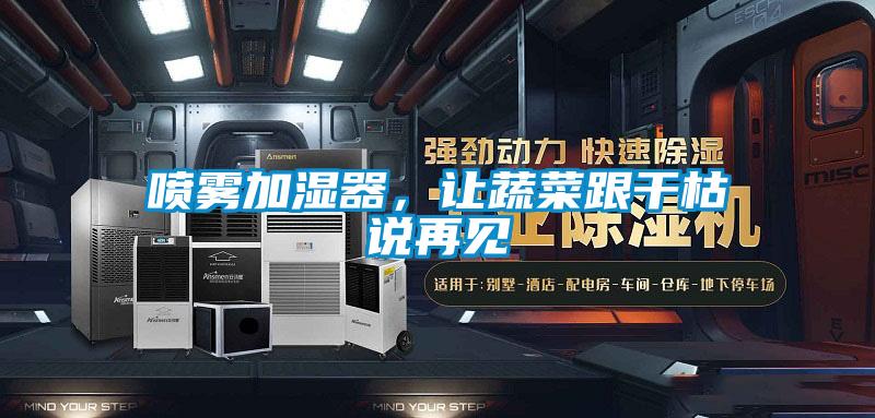 噴霧加濕器，讓蔬菜跟干枯說再見