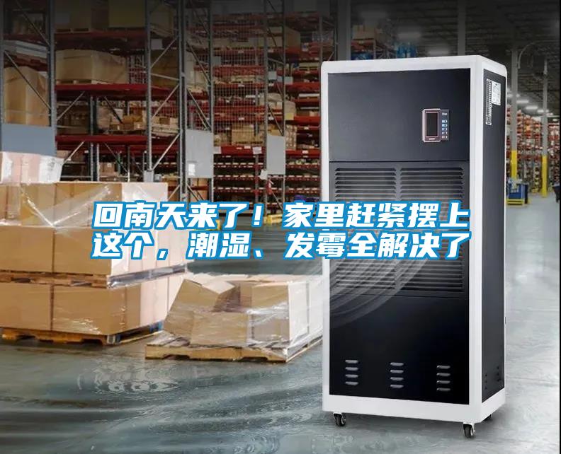 回南天來了！家里趕緊擺上這個，潮濕、發霉全解決了