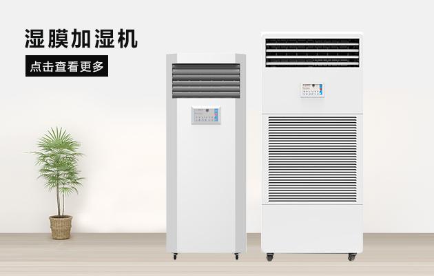 臺風過后房子如何自救？汽車如何理賠？