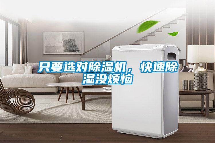 只要選對除濕機，快速除濕沒煩惱