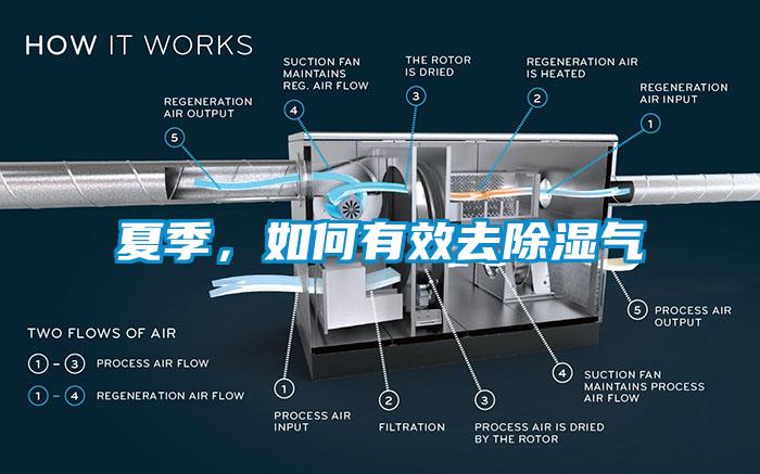 夏季，如何有效去除濕氣