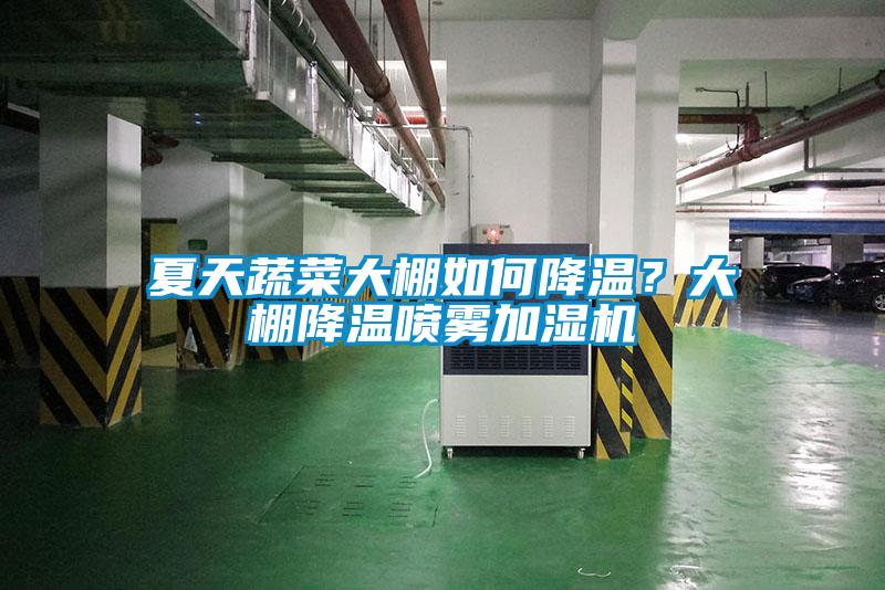 夏天蔬菜大棚如何降溫？大棚降溫噴霧加濕機