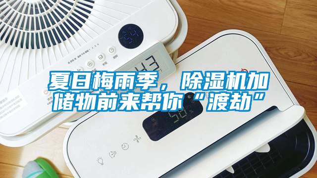 夏日梅雨季，除濕機加儲物前來幫你“渡劫”