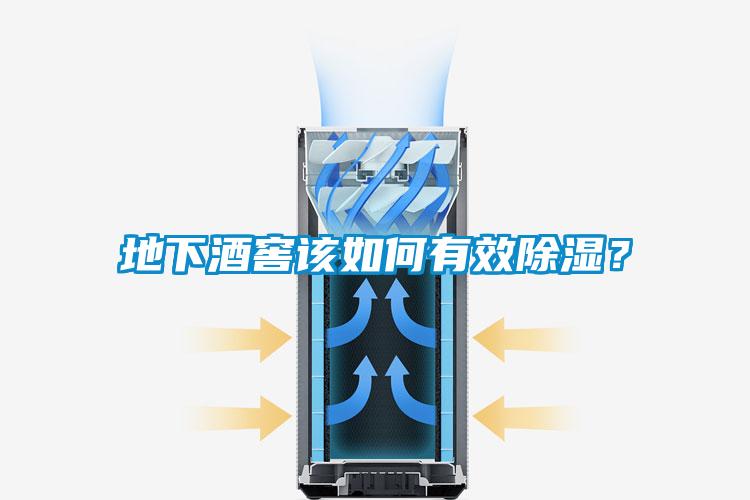 地下酒窖該如何有效除濕？
