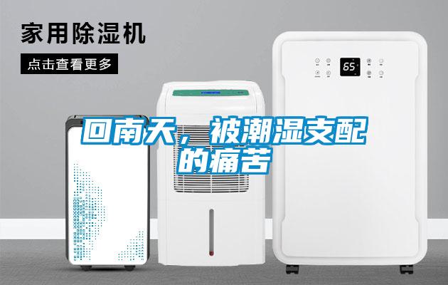 回南天，被潮濕支配的痛苦