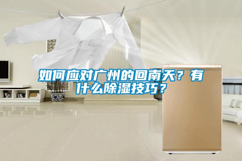 如何應對廣州的回南天？有什么除濕技巧？