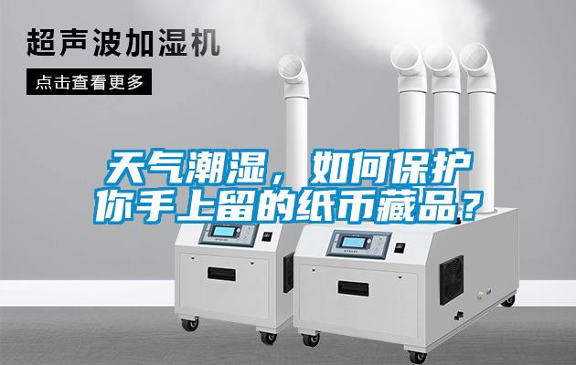 天氣潮濕，如何保護你手上留的紙幣藏品？