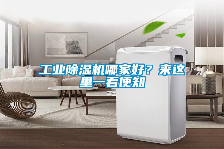 工業除濕機哪家好？來這里一看便知