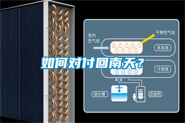 如何對付回南天？