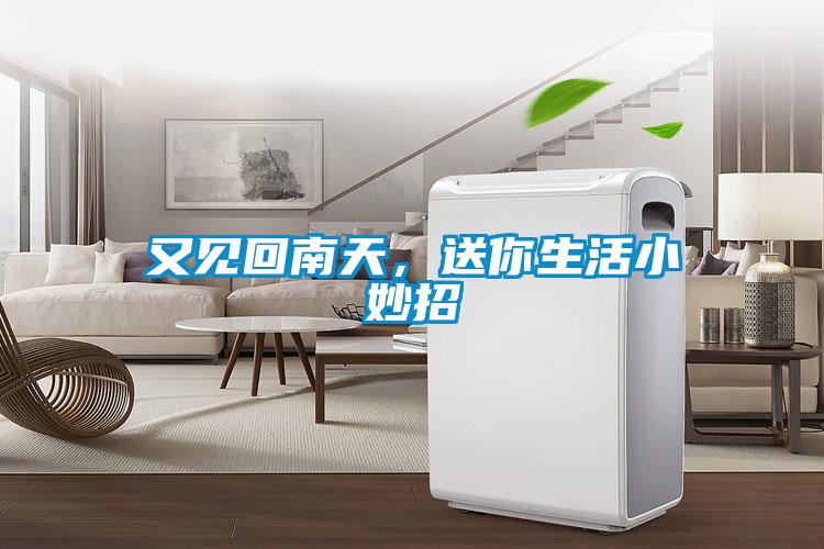 又見回南天，送你生活小妙招