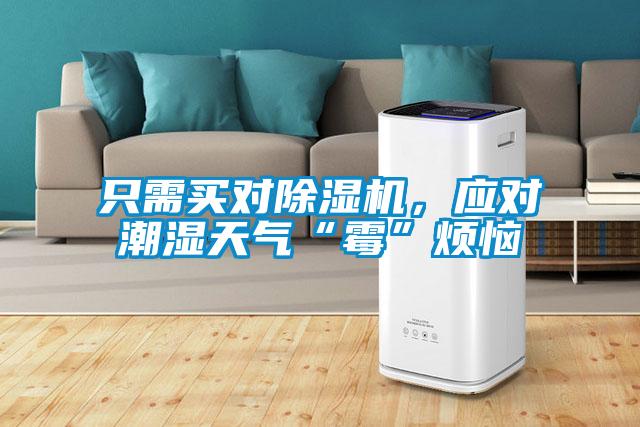 只需買對除濕機，應對潮濕天氣“霉”煩惱