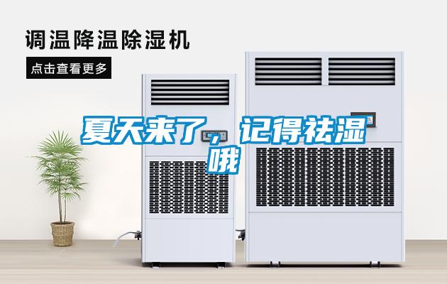 夏天來了，記得祛濕哦