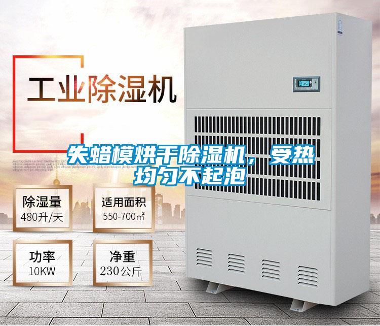 失蠟模烘干除濕機，受熱均勻不起泡