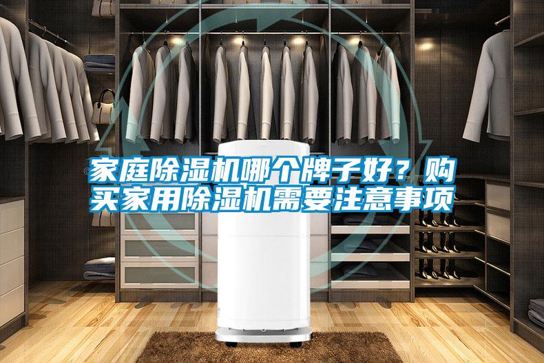 家庭除濕機哪個牌子好？購買家用除濕機需要注意事項