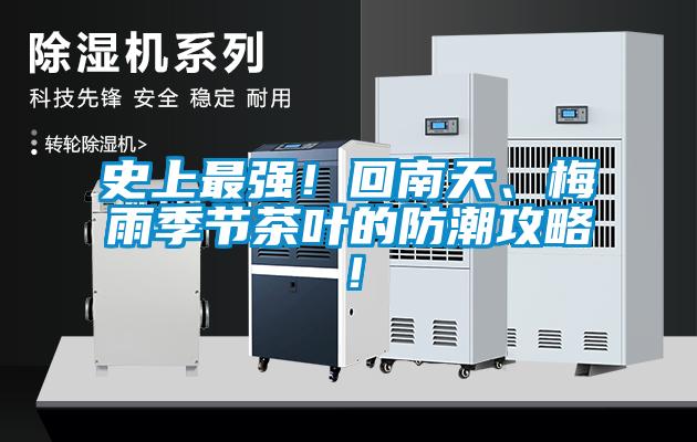 史上最強！回南天、梅雨季節茶葉的防潮攻略！