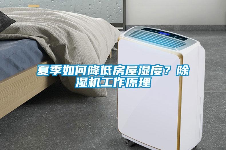 夏季如何降低房屋濕度？除濕機工作原理