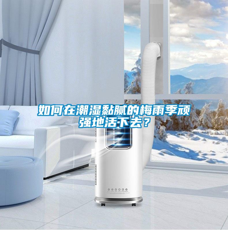 如何在潮濕黏膩的梅雨季頑強地活下去？
