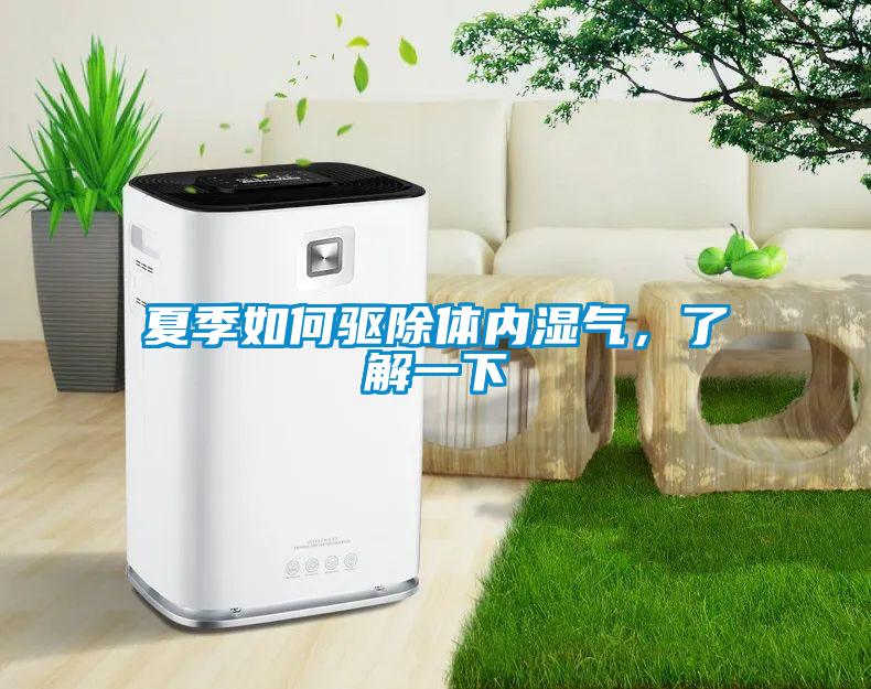 夏季如何驅除體內濕氣，了解一下