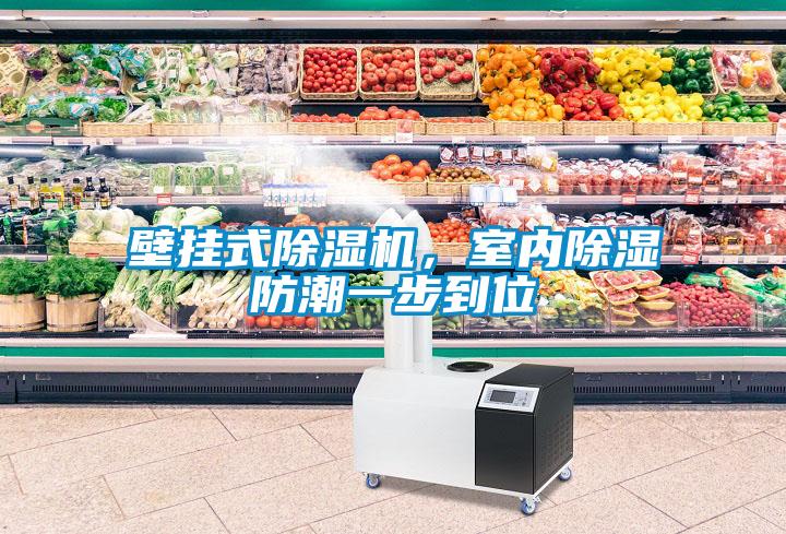 壁掛式除濕機，室內除濕防潮一步到位
