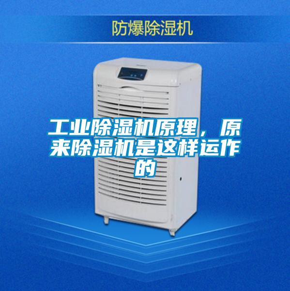 工業除濕機原理，原來除濕機是這樣運作的