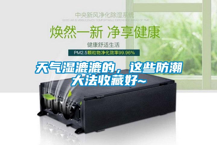 天氣濕漉漉的，這些防潮大法收藏好~