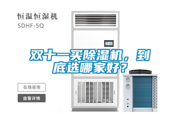 雙十一買除濕機，到底選哪家好？
