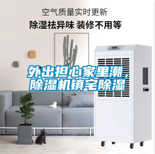 外出擔心家里潮，除濕機鎮宅除濕