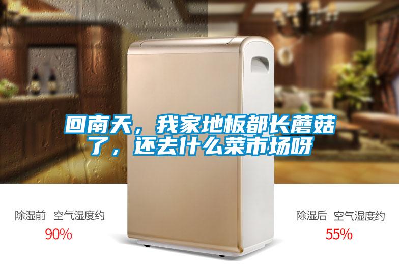 回南天，我家地板都長蘑菇了，還去什么菜市場呀