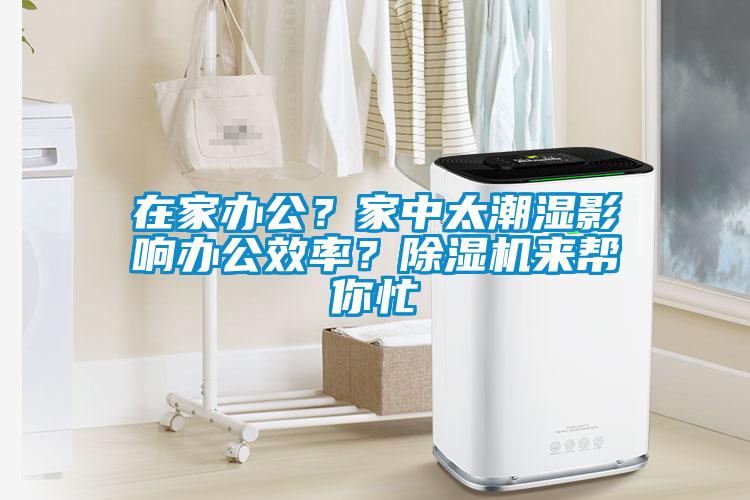 在家辦公？家中太潮濕影響辦公效率？除濕機來幫你忙