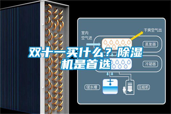 雙十一買什么？除濕機是首選