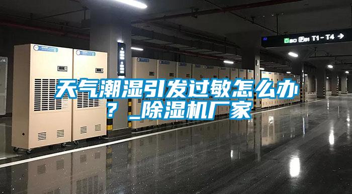 天氣潮濕引發過敏怎么辦？_除濕機廠家