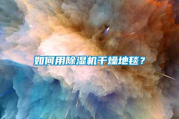 如何用除濕機干燥地毯？
