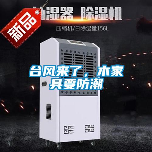 臺風來了，木家具要防潮
