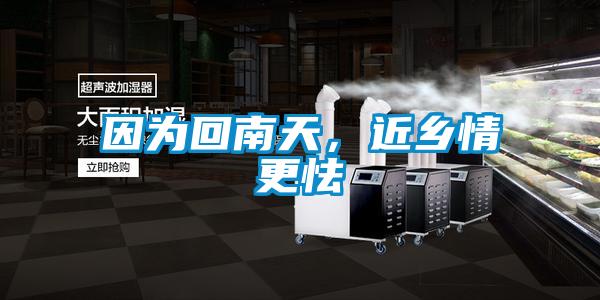 因為回南天，近鄉情更怯