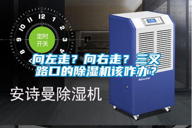 向左走？向右走？三叉路口的除濕機該咋辦？