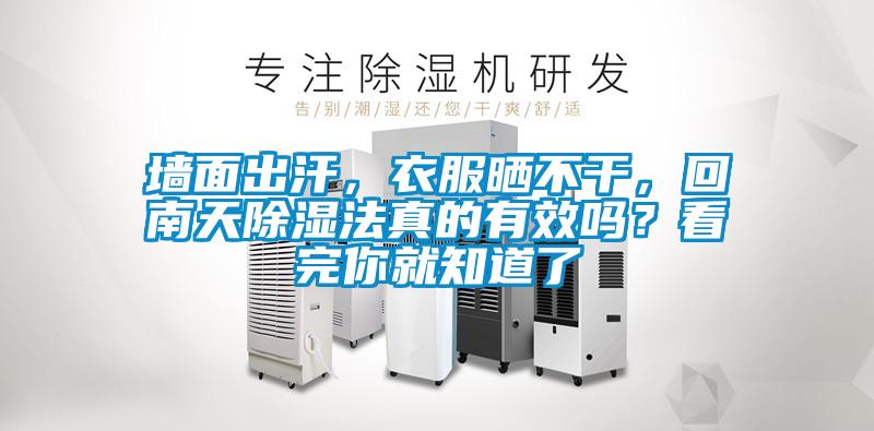 墻面出汗，衣服曬不干，回南天除濕法真的有效嗎？看完你就知道了
